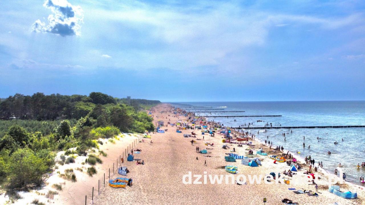 Sofia Dziwnówek Exterior foto